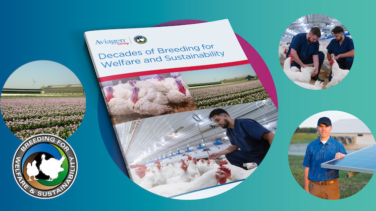 Discover Aviagen’s “Decades of Breeding for Welfare and Sustainability” 